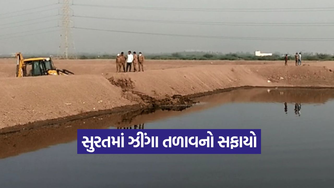 સુરતમાં ગેરકાયદે ઝીંગા તળાવો પર તવાઈ: અઢી માસમાં ૬૦ લાખના ખર્ચે ૧૨૫ દબાણો દૂર કરાયા 47 surat 0810 1