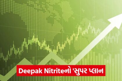 Deepak Nitrite
