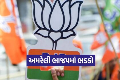 bjp 0910