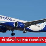 indigo 43 2