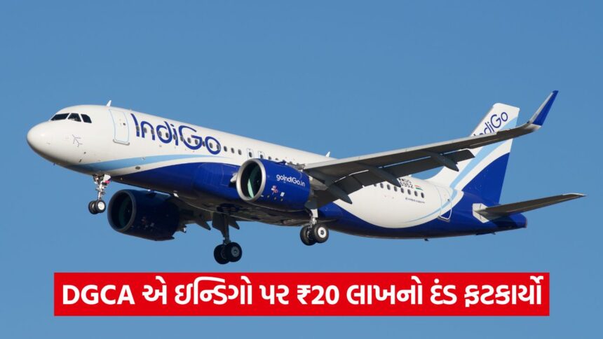 indigo 43 2