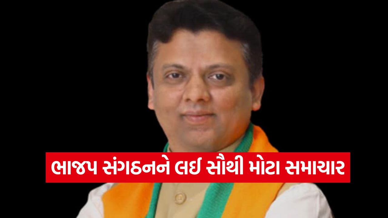 ભાજપ સંગઠનને લઈ સૌથી મોટા સમાચાર, નવી ટીમમાં થશે ધરખમ ફેરફારો, સૌરાષ્ટ્રથી લઈ દક્ષિણ ગુજરાત સુધીનાં આ નામો આવ્યા ચર્ચામાં 53 bjp 1