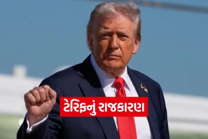 trump 1310