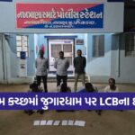 kutch 1310 2