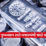 silver 1310