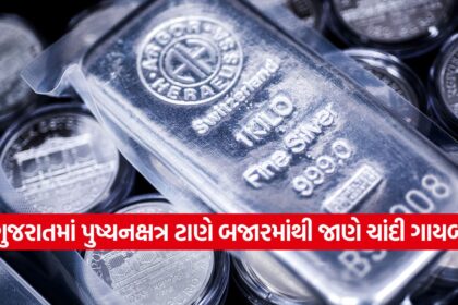 silver 1310