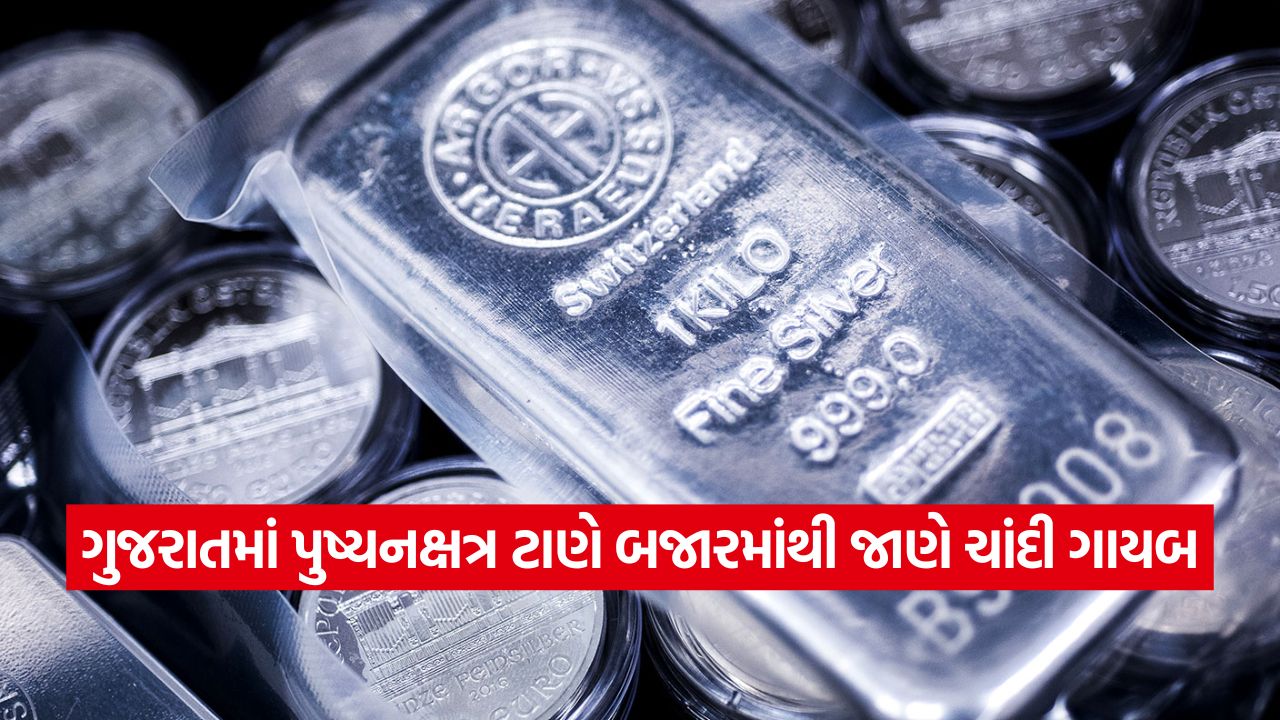 silver 1310