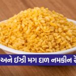 mag dal namkin