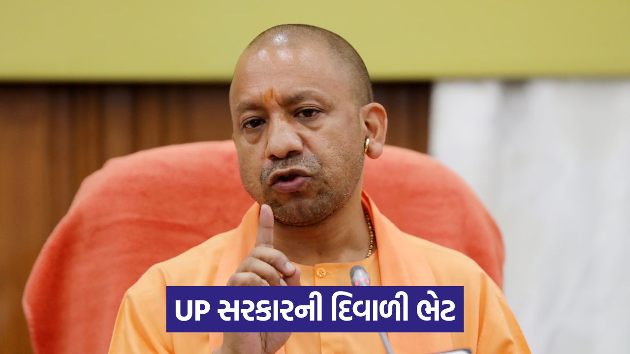 yogi 54
