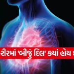 dil