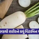 Radish 1710