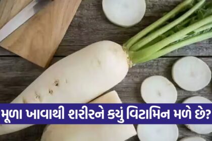 Radish 1710