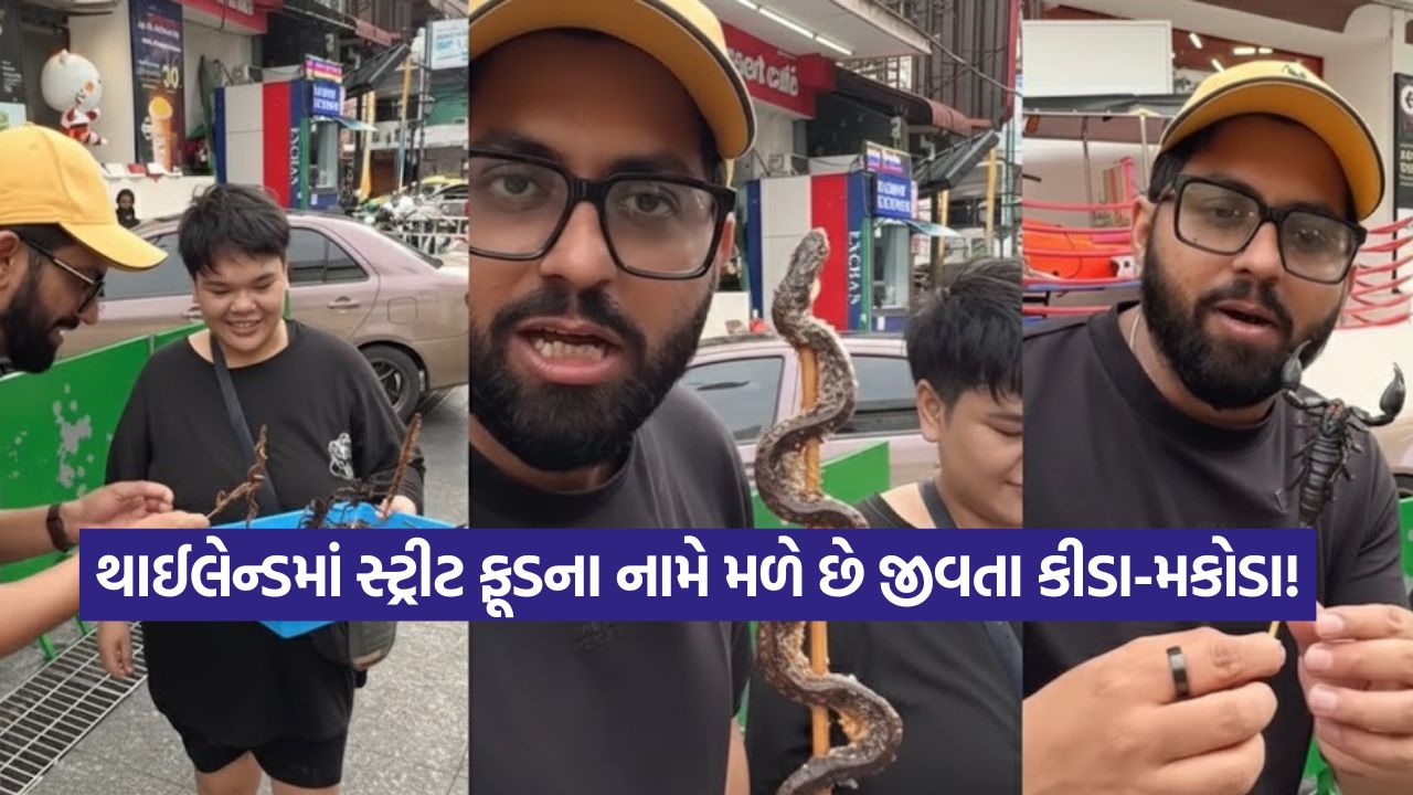 Video: આ દેશના લોકો છે અજબ ગજબ! વીંછી અને સાપને સ્વાદિષ્ટ વાનગીની જેમ ખાય છે 13 video