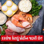 protein 54