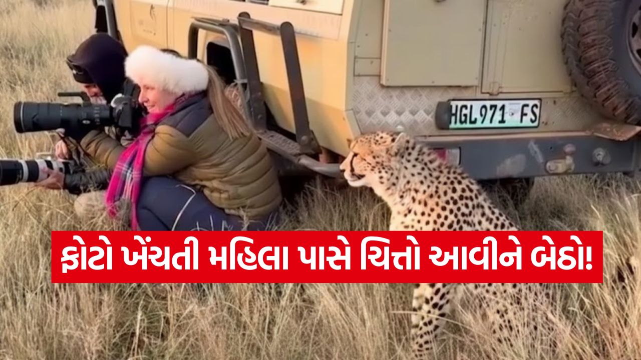 Video: જંગલમાં છુપાયેલી મહિલાની બાજુમાં ચિત્તો આવીને બેસી ગયો! પછી જે દ્રશ્ય સર્જાયું, જોઈને શ્વાસ થંભી જશે! 11 video21