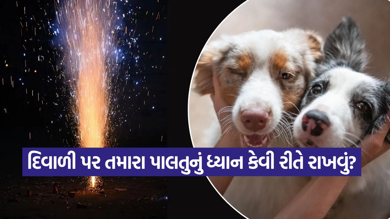 diwali23