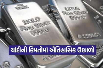 Silver 2010