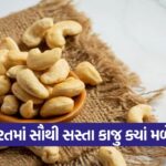 cashew 2010
