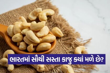 cashew 2010