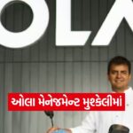 Ola 2010