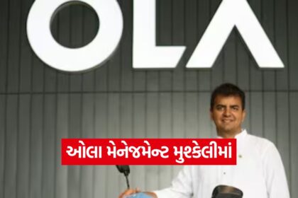 Ola 2010