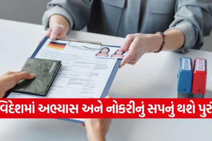 work visa 2110