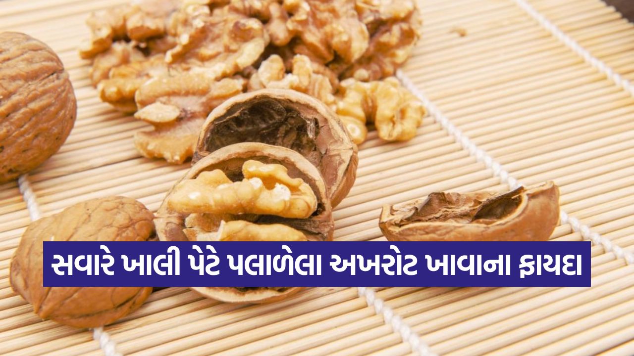 સવારે ખાલી પેટે પલાળેલા અખરોટ ખાવાથી શું થાય છે? ડૉક્ટરો શા માટે દરરોજ ખાવાની સલાહ આપે છે? 19 walnot1