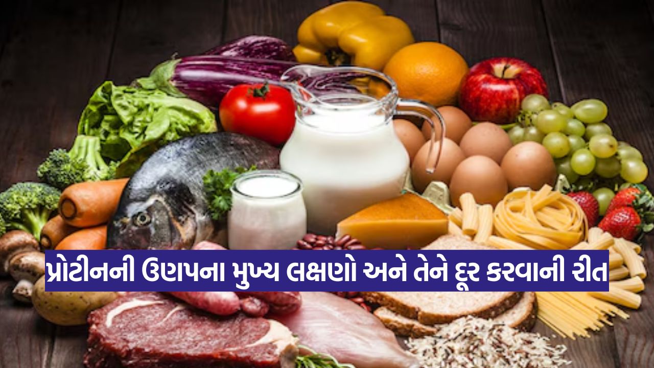પ્રોટીનની કમી શા માટે થાય છે? જાણો મુખ્ય 5 કારણો અને શરીરમાં દેખાતા ચેતવણીરૂપ સંકેતો 47 protine