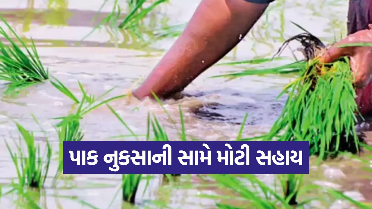 જીતુ વાઘાણીની જાહેરાત: પાંચ જિલ્લાના ખેડૂતોને મળશે આર્થિક સહાય, જુઓ કોને કેટલો ફાયદો? 15 pak