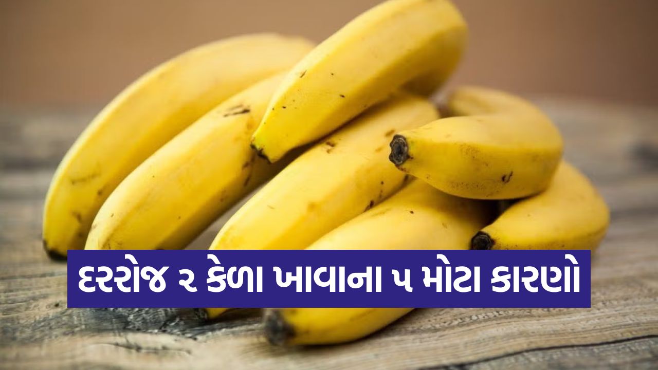 દરરોજ ૨ કેળા ખાવાથી તમારા શરીરમાં શું થાય છે? જાણી લો આ ૭ આશ્ચર્યજનક ફાયદાઓ! 45 kela