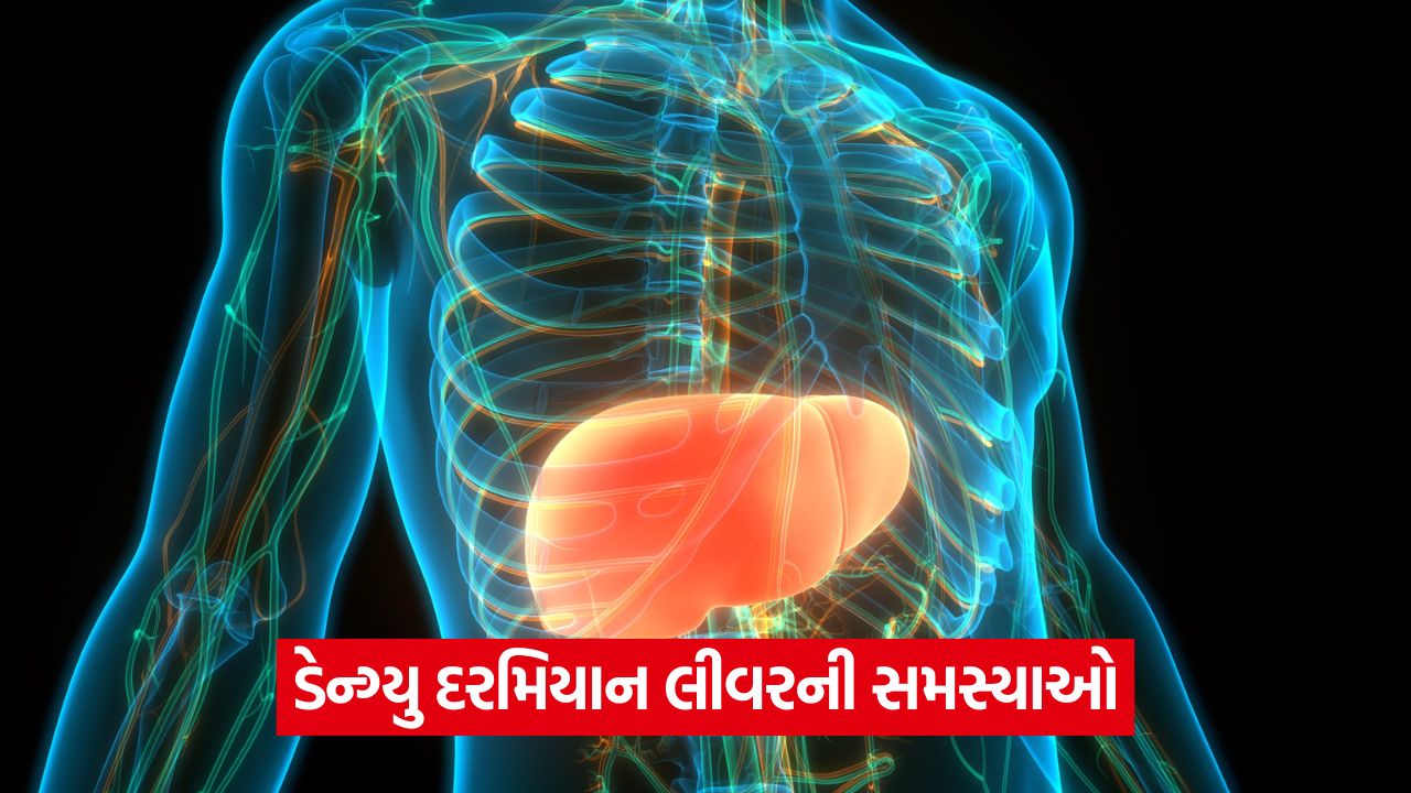 ડેન્ગ્યુના દર્દીઓમાં લીવરની સમસ્યા વધી રહી છે: તેના લક્ષણો અને શું કરવું તે વિશે જાણો 43 liver 5