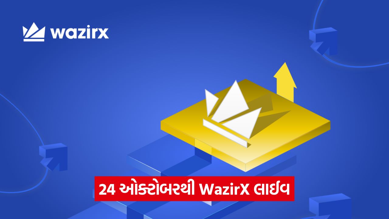 સિંગાપોર કોર્ટની મંજૂરી બાદ WazirX ફરીથી લોન્ચ 1 business 645