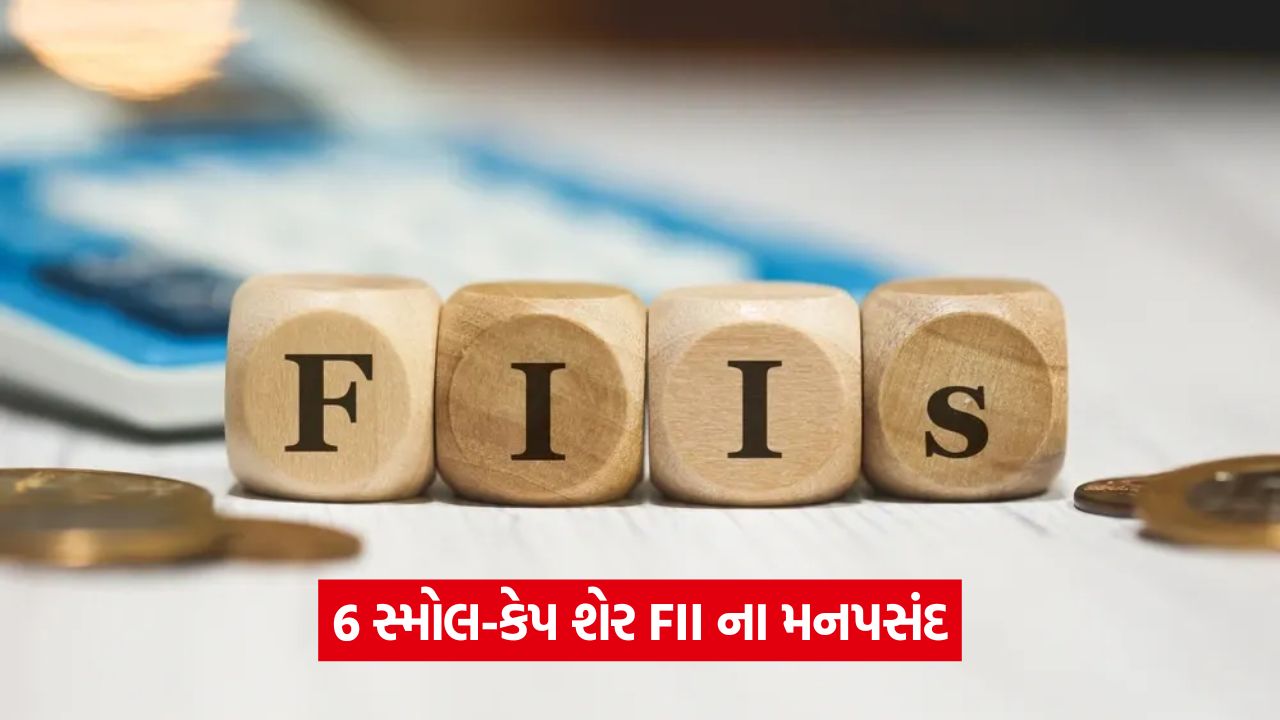 સુવર્ણ તક! FII એ આ 6 સ્મોલ-કેપ શેરોમાં હિસ્સો ખરીદ્યો 20 web 7