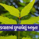 neem