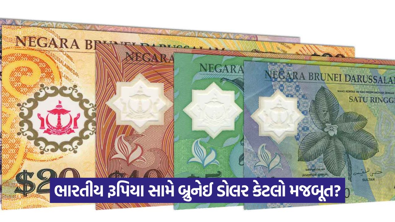 બ્રુનેઈ ડોલર આટલો ખાસ કેમ? વિશ્વની સૌથી મૂલ્યવાન ચલણ વિશે જાણો 33 web 5 2
