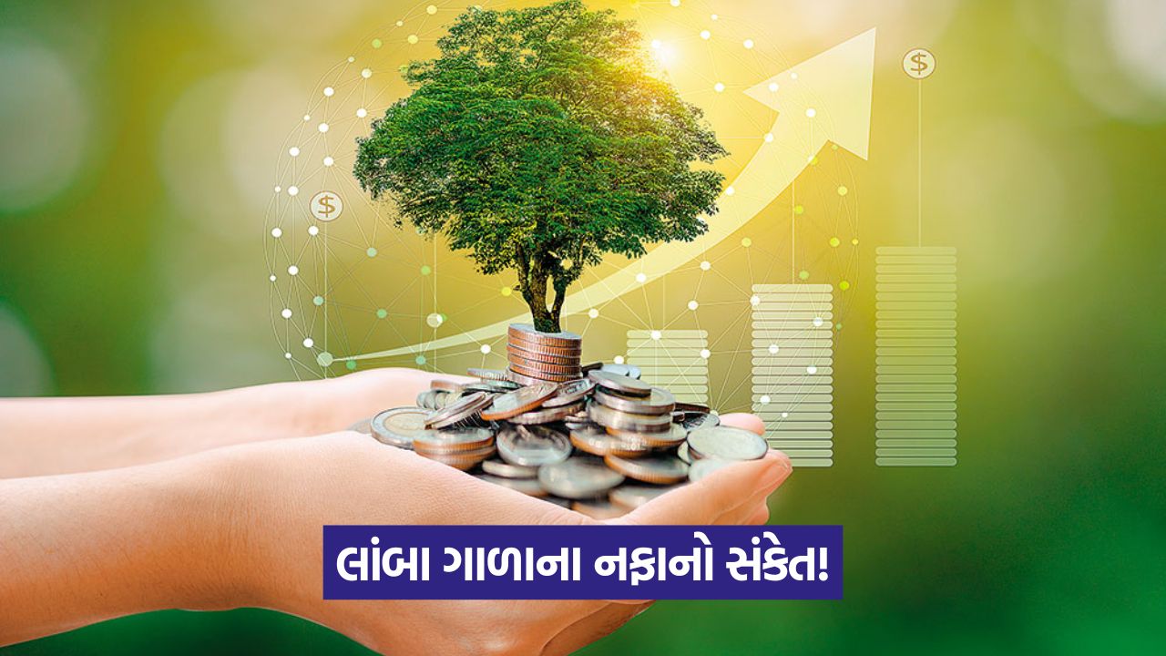 શું આ 3 સ્મોલકેપ શેર લાંબા ગાળા માટે યોગ્ય છે? 35 bsiness 56