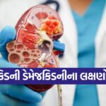 kidney