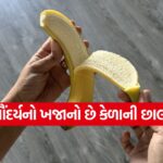 banna peel