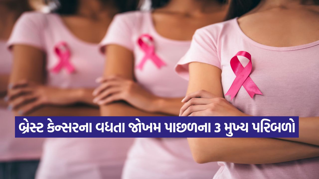 મહિલાઓમાં કેમ ઝડપથી વધી રહી છે બ્રેસ્ટ કેન્સરની સમસ્યા, જાણો શું કહે છે ડૉક્ટર? 25 cancer