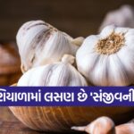 garlic