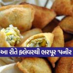 paneer samosa 3