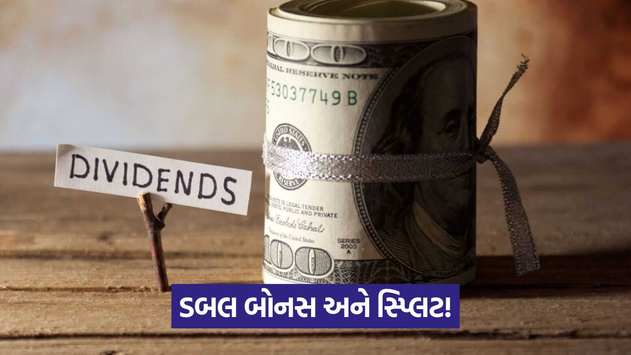 ફિનોટેક્સ કેમિકલ દ્વારા સ્ટોક સ્પ્લિટ અને બોનસ ઇશ્યૂ માટે રેકોર્ડ ડેટ જાહેર; સંપૂર્ણ યોજના વિશે જાણો 25 web 24