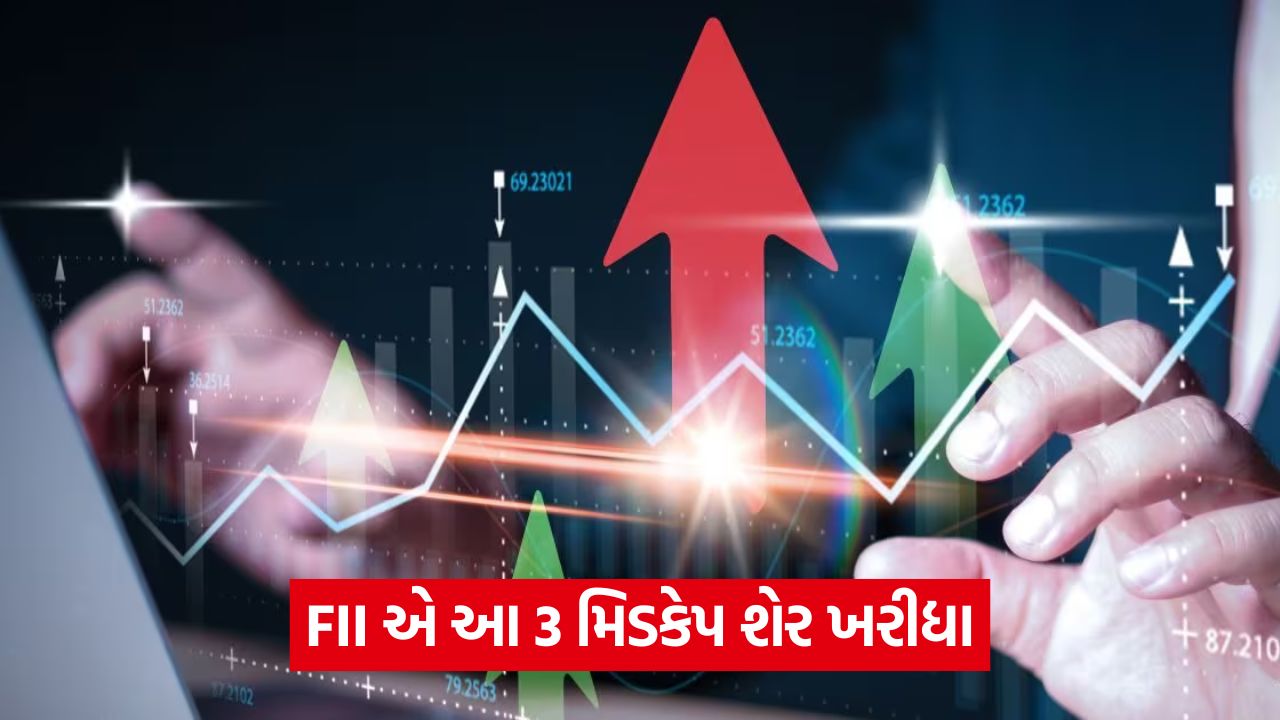 FII મિડકેપ શેરો પર વધુ શા માટે દાવ લગાવી રહ્યા છે? આશાપુરા, સ્કીપર અને PCBL વિશે જાણો 29 stocks 54