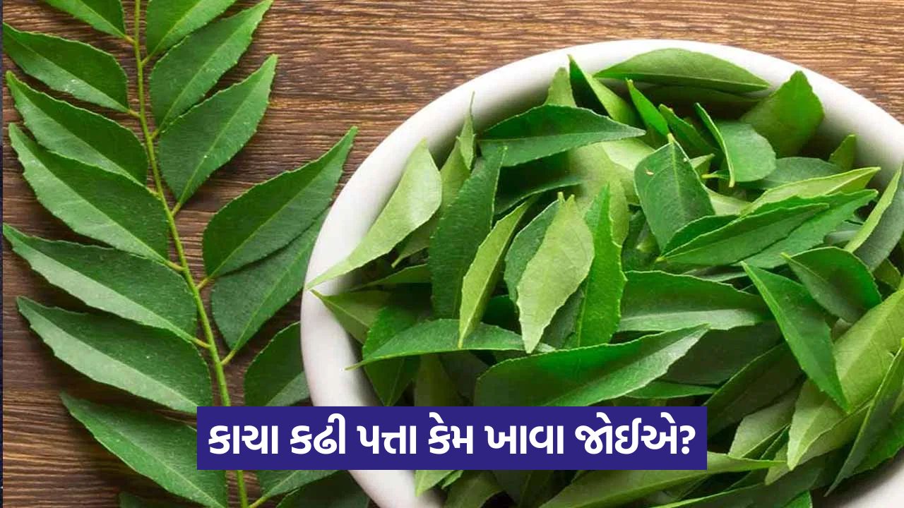 સવારે ખાલી પેટે કઢી પત્તા ચાવવાના 7 અદ્ભુત ફાયદા 35 health 54 4