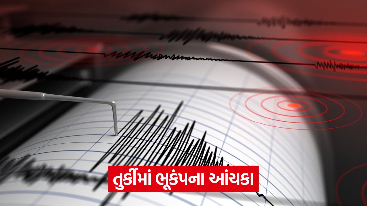 પશ્ચિમ તુર્કીમાં ભૂકંપના જોરદાર આંચકા, ઇસ્તંબુલ સુધી ભૂકંપના આંચકા અનુભવાયા 25 world 54 3