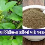 gumar powder1