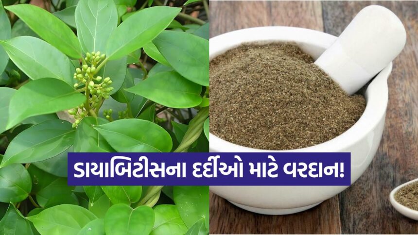 gumar powder1