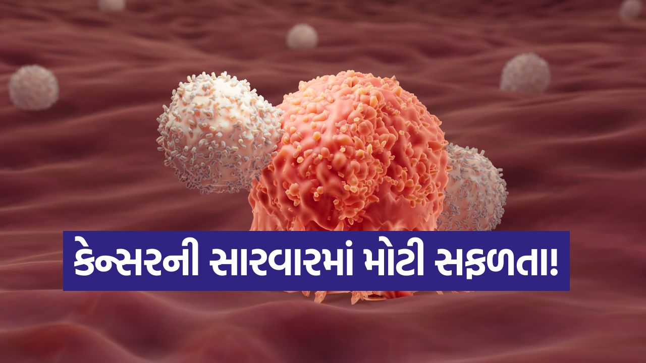 કેન્સરના કોષો જાતે જ થઈ શકે છે નષ્ટ! વૈજ્ઞાનિકોએ શોધી કાઢ્યું કે કીમોથેરાપી વિના કેવી રીતે થઈ શકે છે કેન્સરની સારવાર 35 cancer2