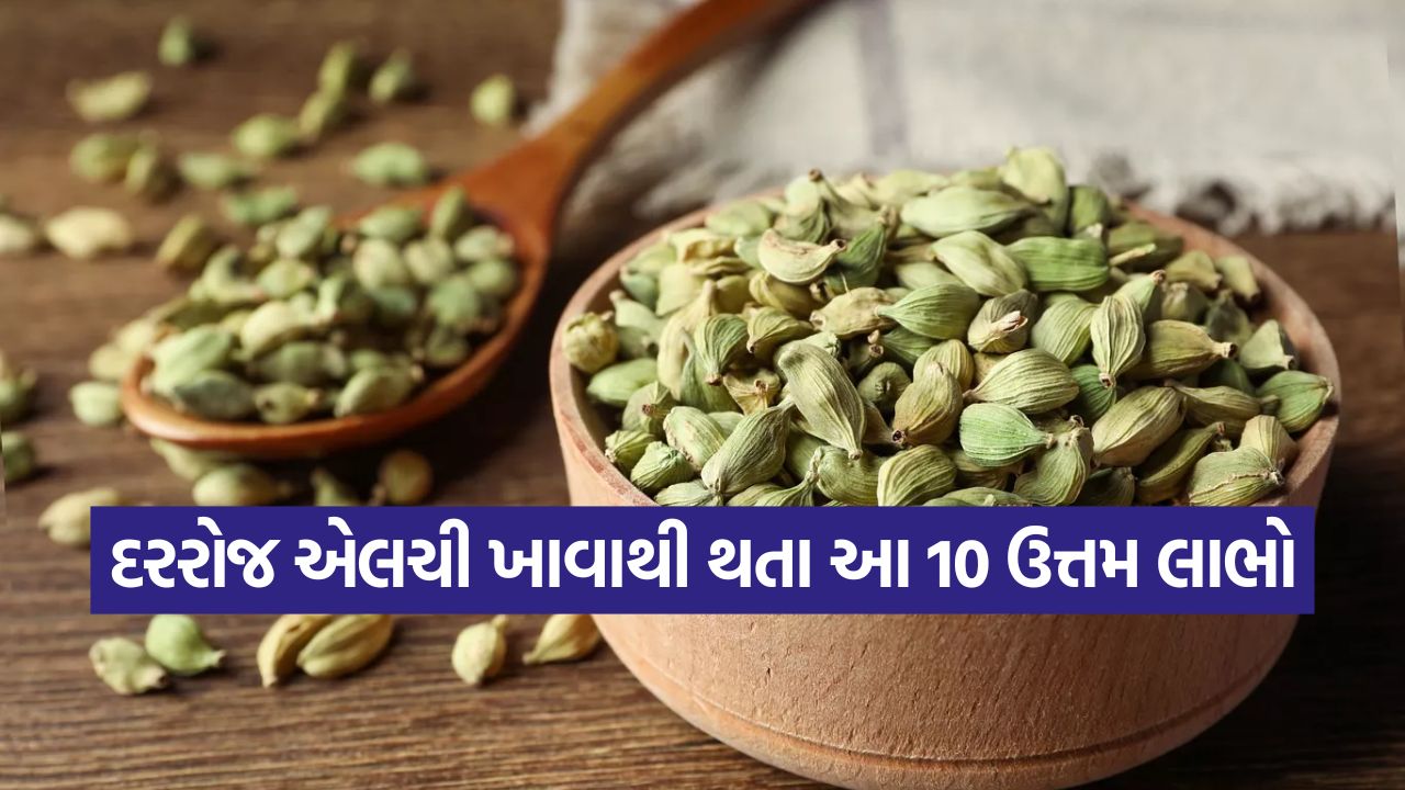 દરરોજ એલચી ખાવાના અદ્ભુત ફાયદા: એક નાનો મસાલો, અનેક રોગોનો ઈલાજ! 25 ilchi