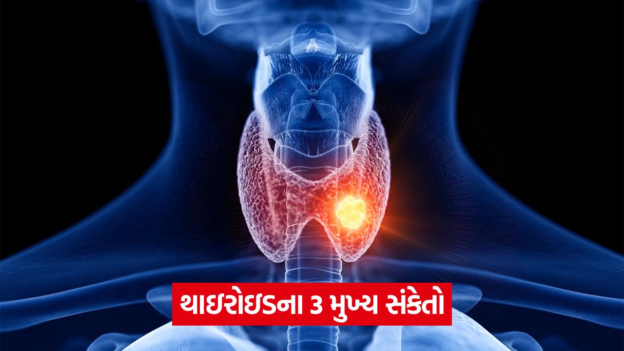 થાઇરોઇડ શું છે, તેના લક્ષણો અને સારવાર? તેના વિશે બધું જાણો 33 health 545